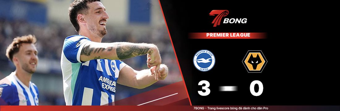 7BONG highlight: Brighton VS Wolverhampton [09-05-26] • English Premier League